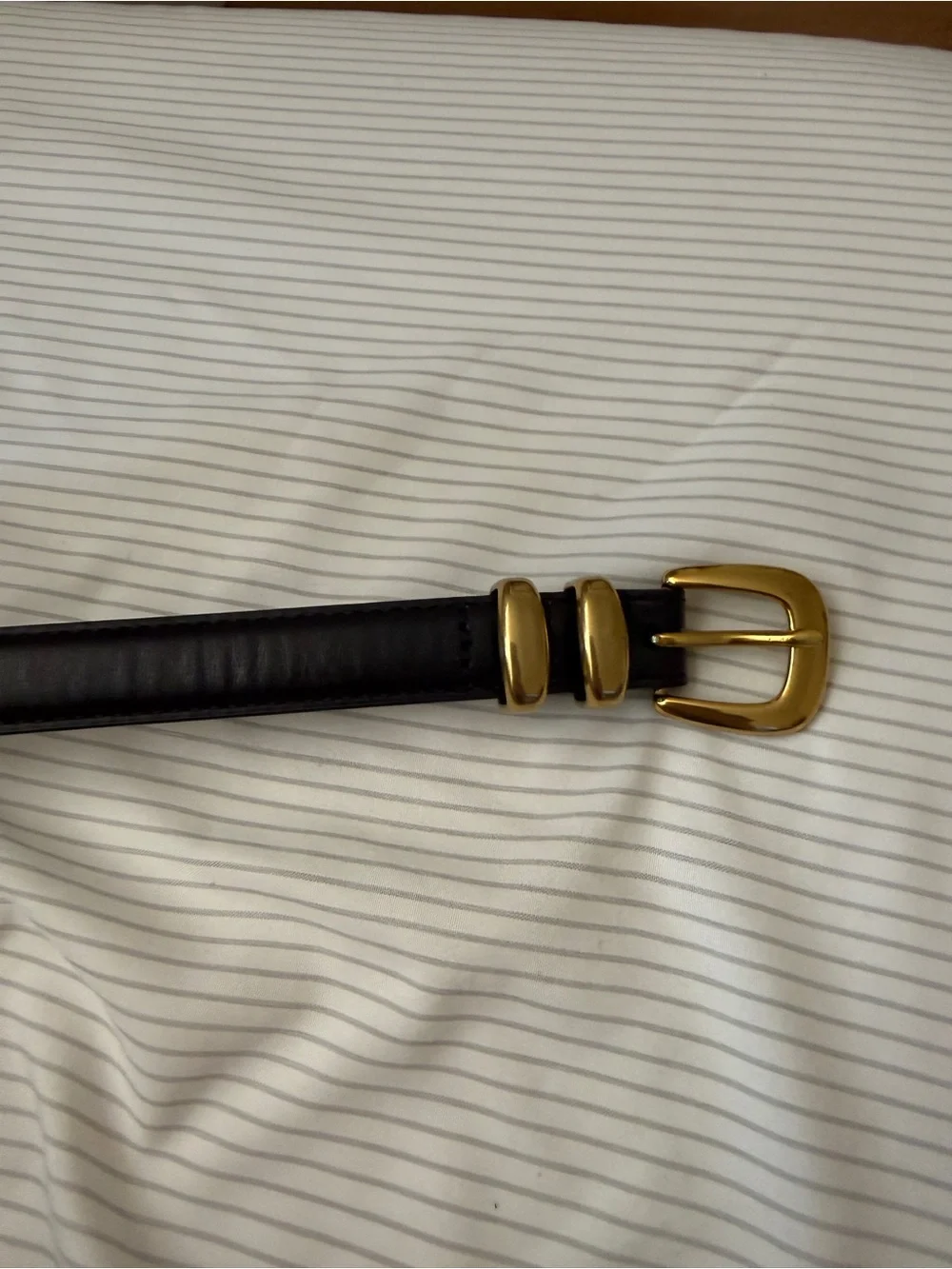 Aritzia Legendary Solid Brass Leather Slim Belt